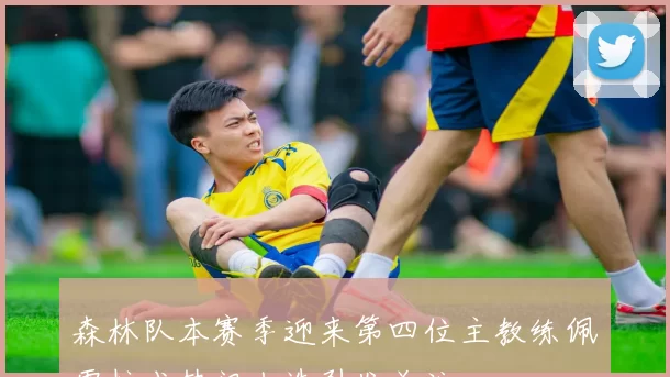 森林队本赛季迎来第四位主教练佩雷拉成热门人选引发关注